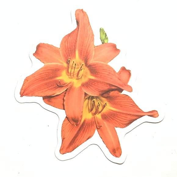 Flower Vinyl Sticker - Picture 1 of 2